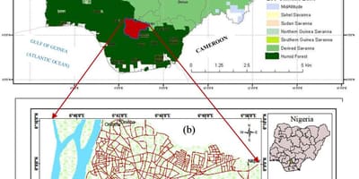 Mapa nigéria ukazuje vegetačné pásy